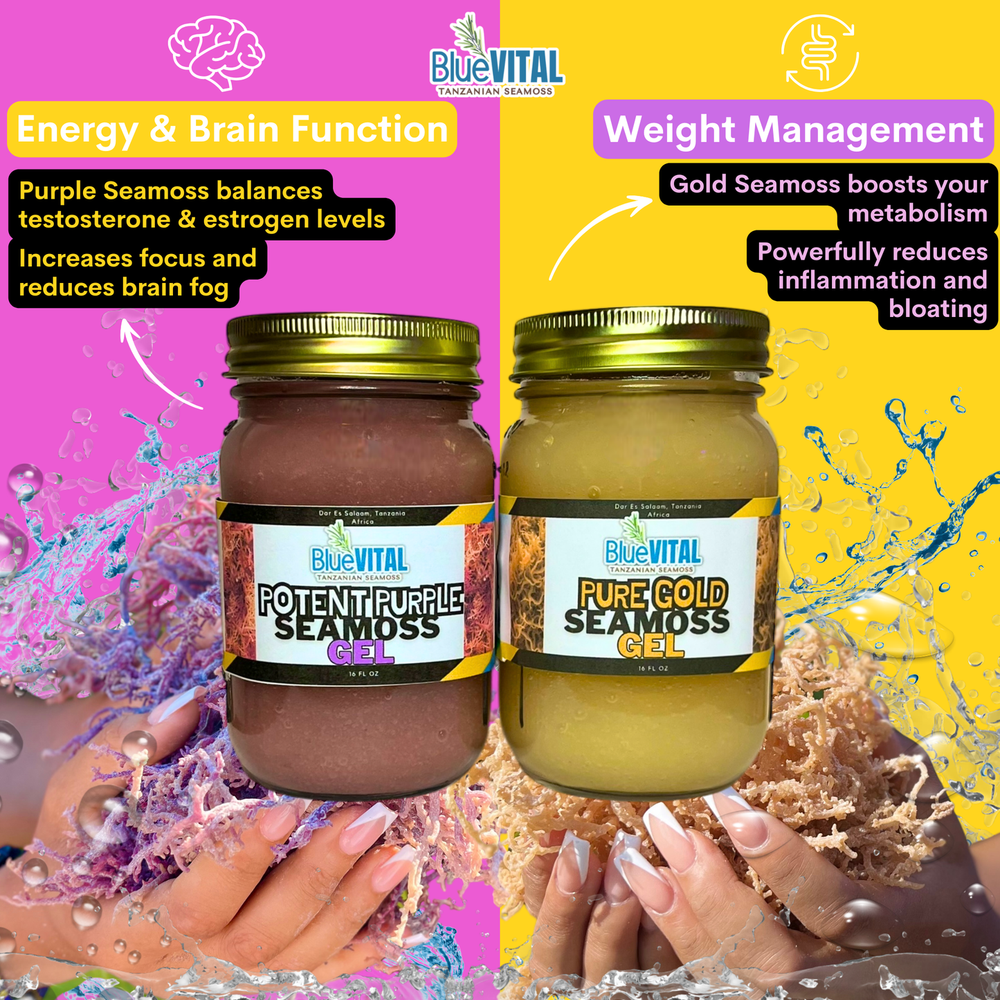 Essentials Pair (1 Pure Gold + 1 Potent Purple)