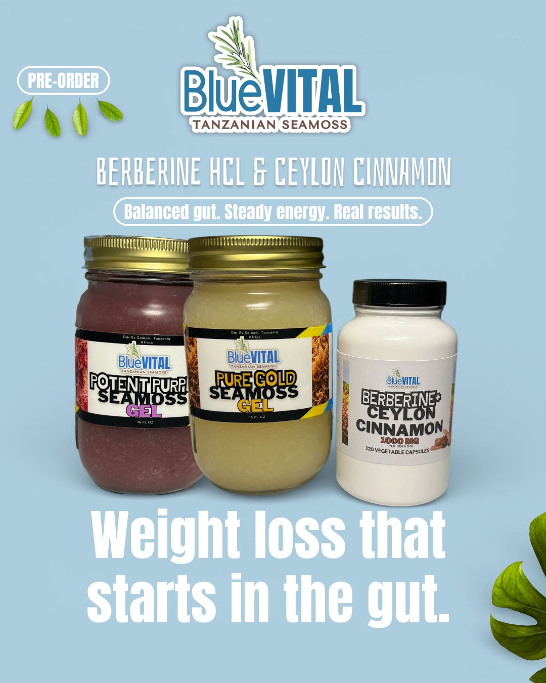 PRE-ORDER: Premium Berberine HCL 1200mg + Ceylon Cinnamon 100mg, 120 count