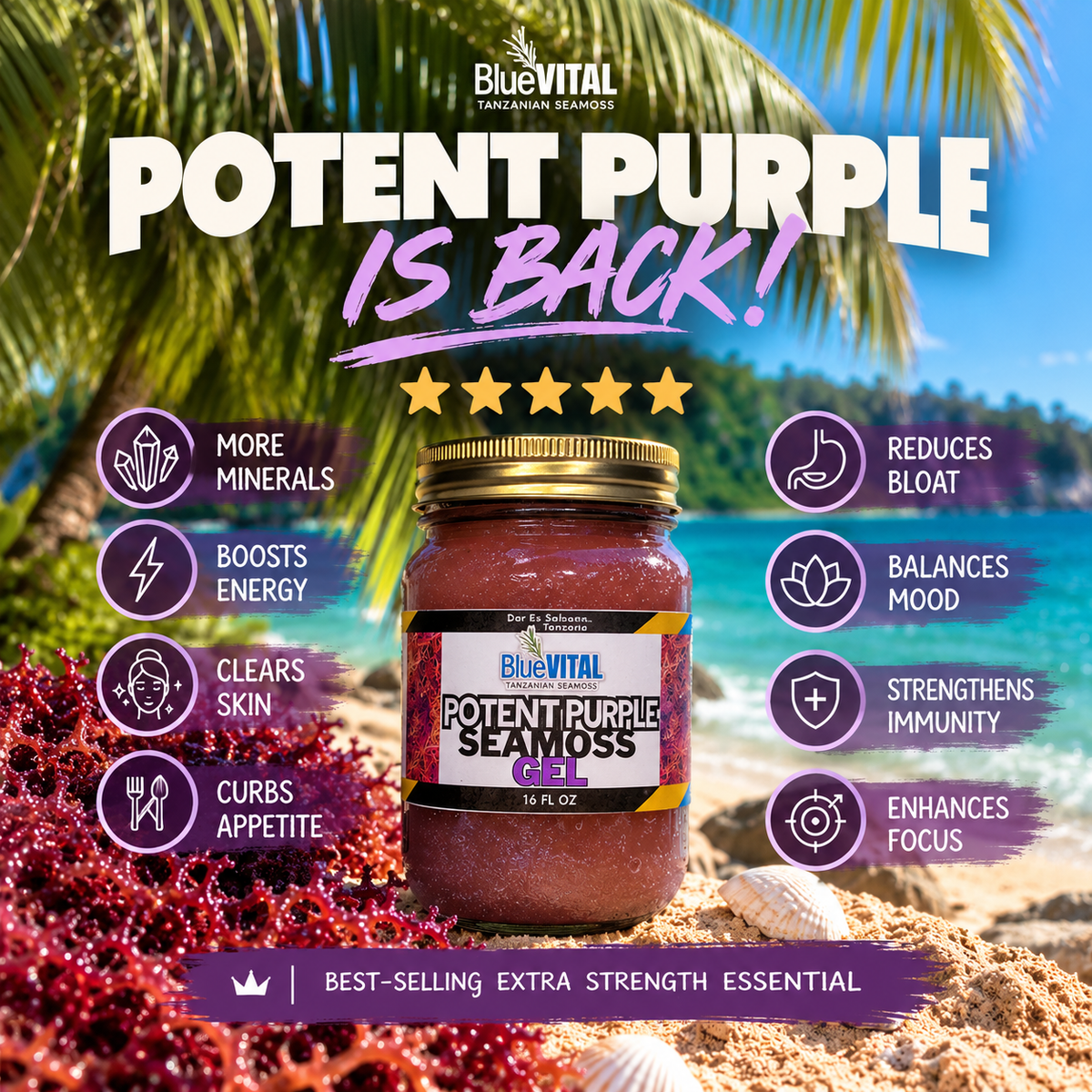 Potent Purple Tanzanian Seamoss Gel 💜🌊