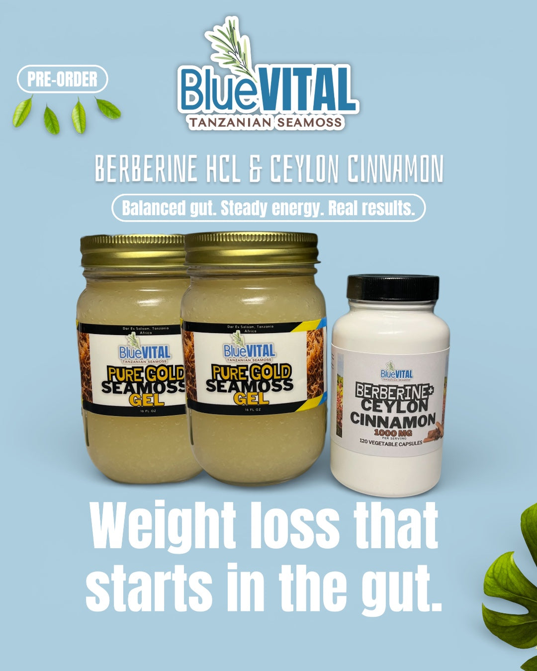 Monthly Supply Bundle: Berberine + 2 Pure Gold Seamoss Gels