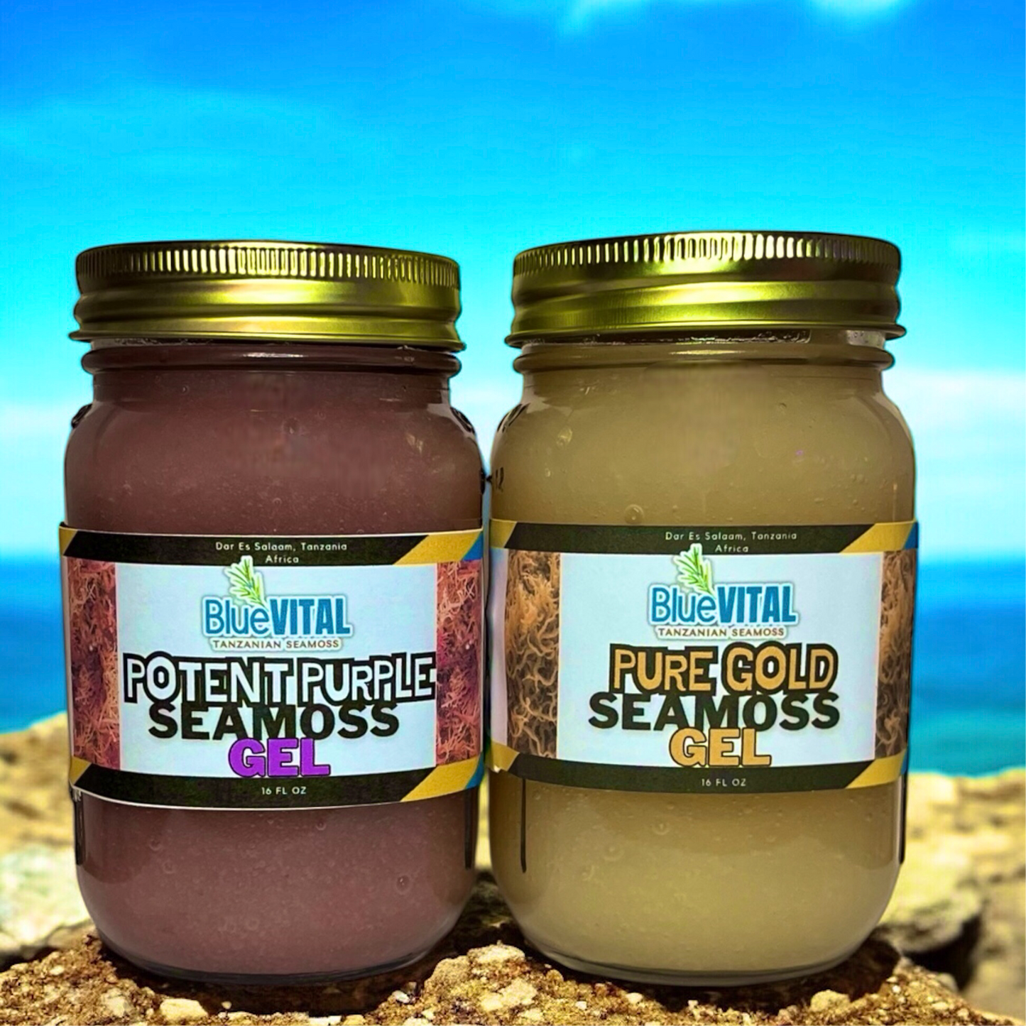 Essentials Pair (1 Pure Gold + 1 Potent Purple)