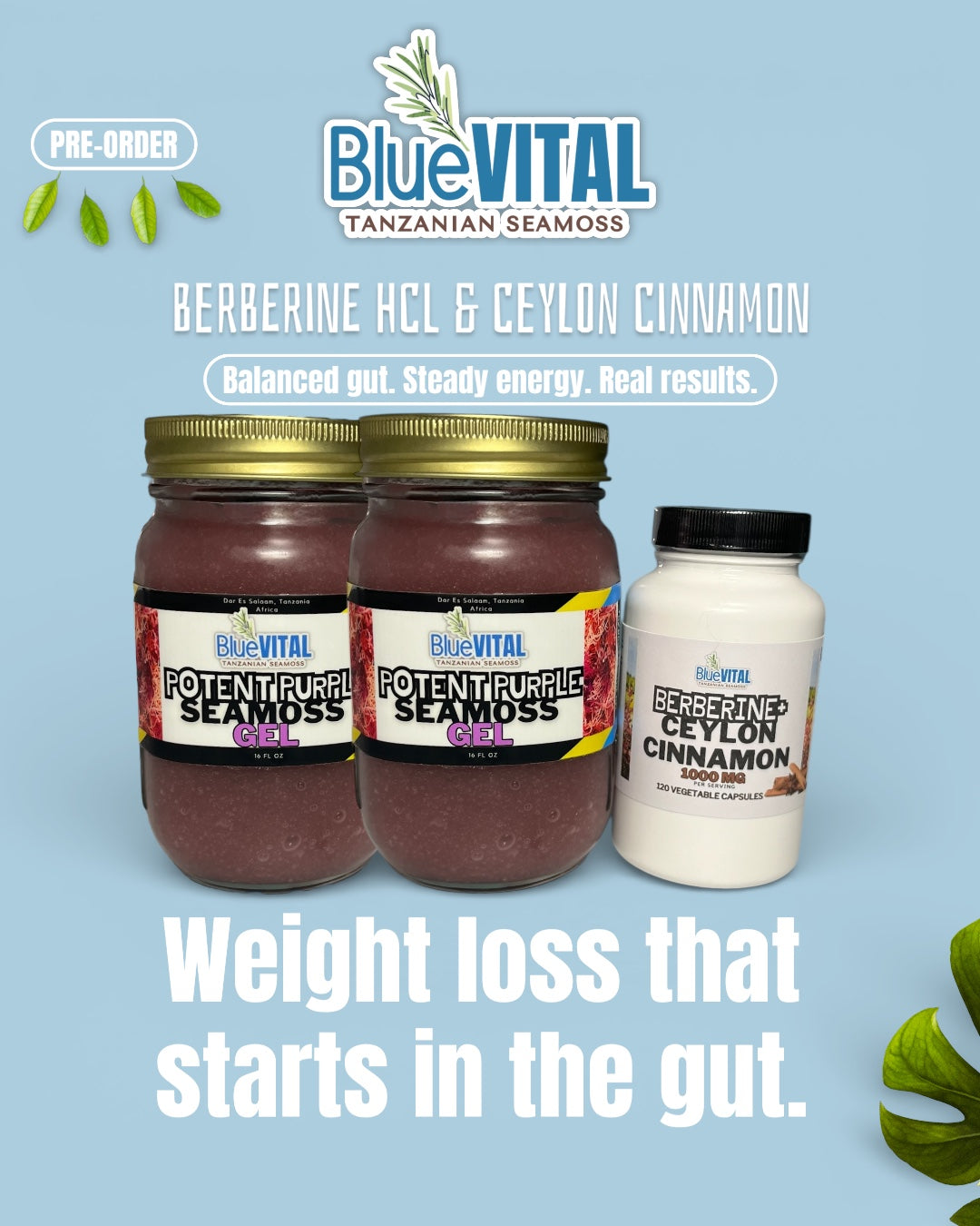 PRE-ORDER: Premium Berberine HCL 1200mg + Ceylon Cinnamon 100mg