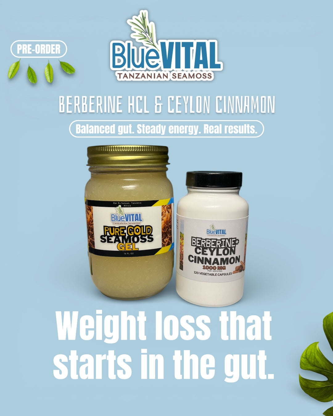 PRE-ORDER: Premium Berberine HCL 1200mg + Ceylon Cinnamon 100mg, 120 count