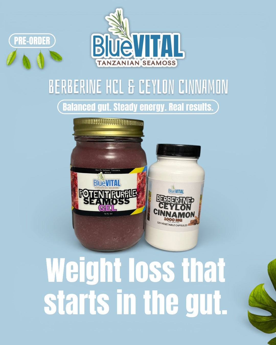 PRE-ORDER: Premium Berberine HCL 1200mg + Ceylon Cinnamon 100mg, 120 count