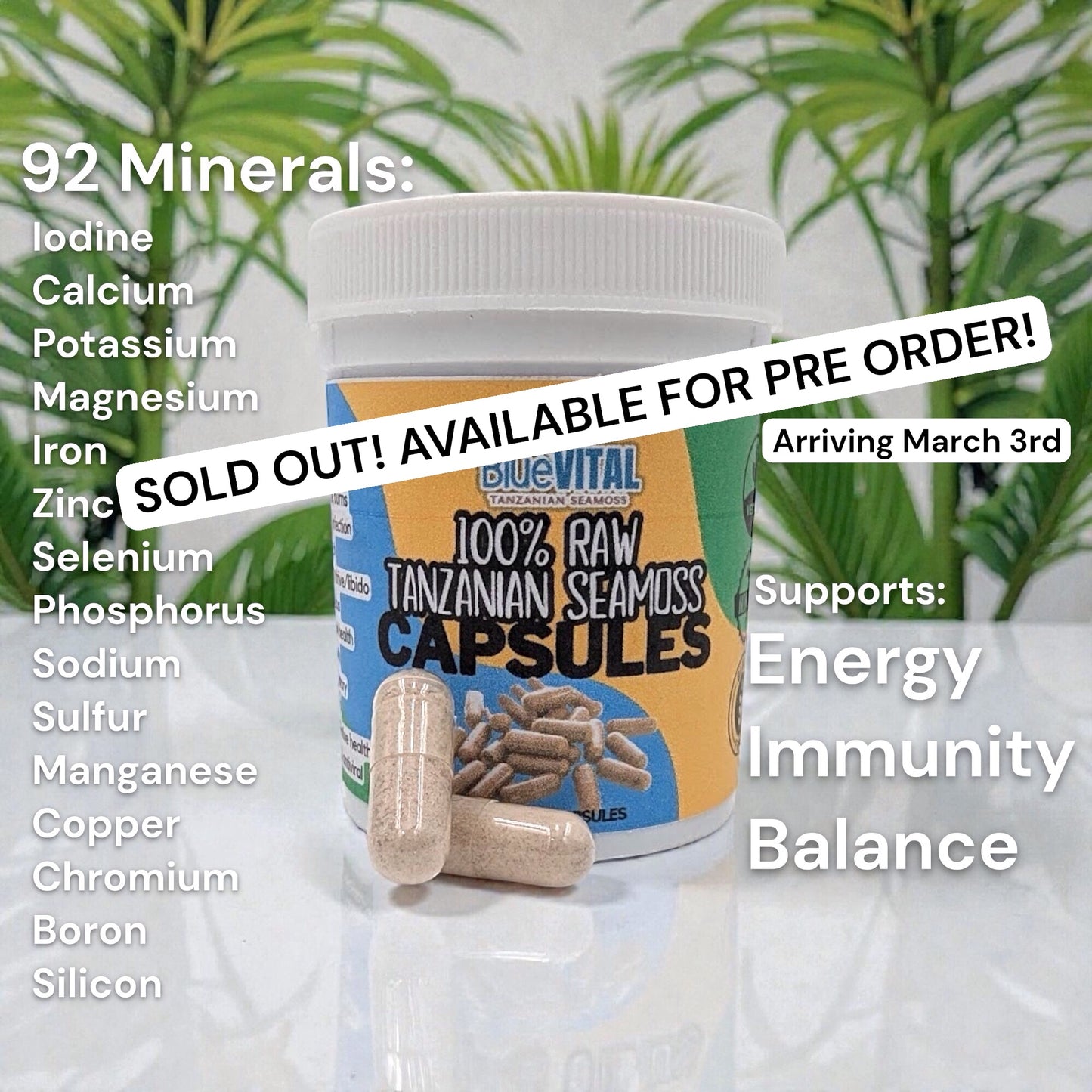 100% Raw Seamoss Capsules