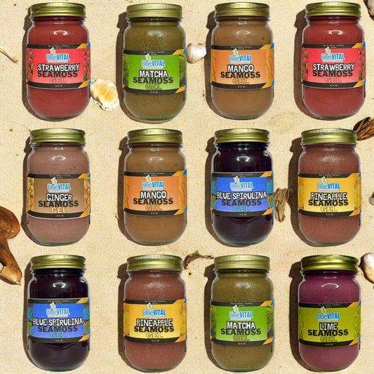 12 Jar Bundle